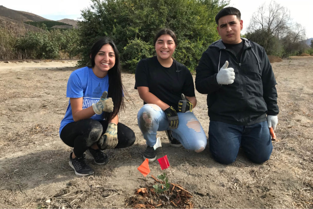 Volunteers installing a native plant